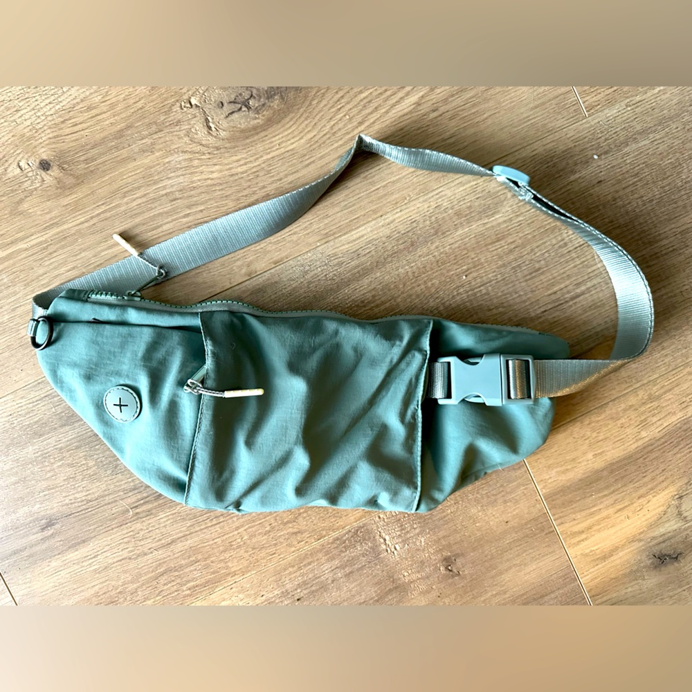 Dog walker fanny pack